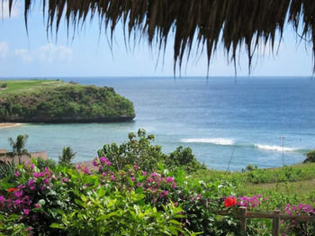 Coconuts Hummingbird * Jimbaran (Bali)