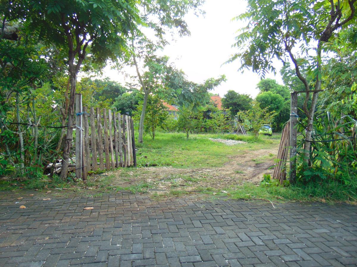 Homestay Arumanis *