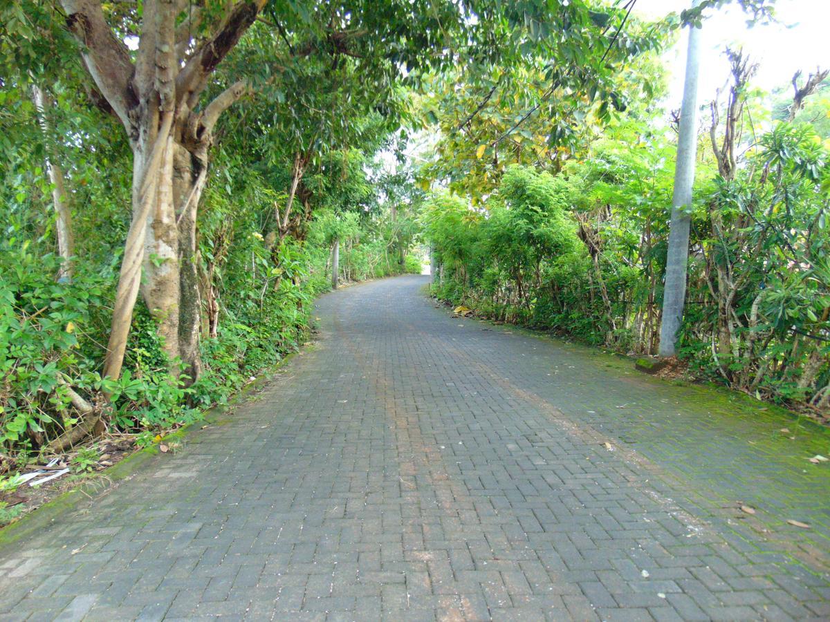 Homestay Arumanis *