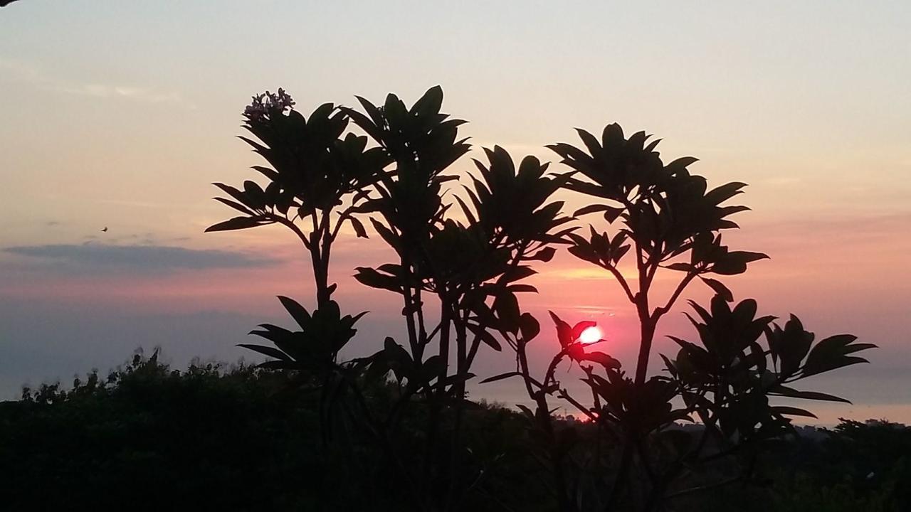 Paradise * Lovina (Bali)
