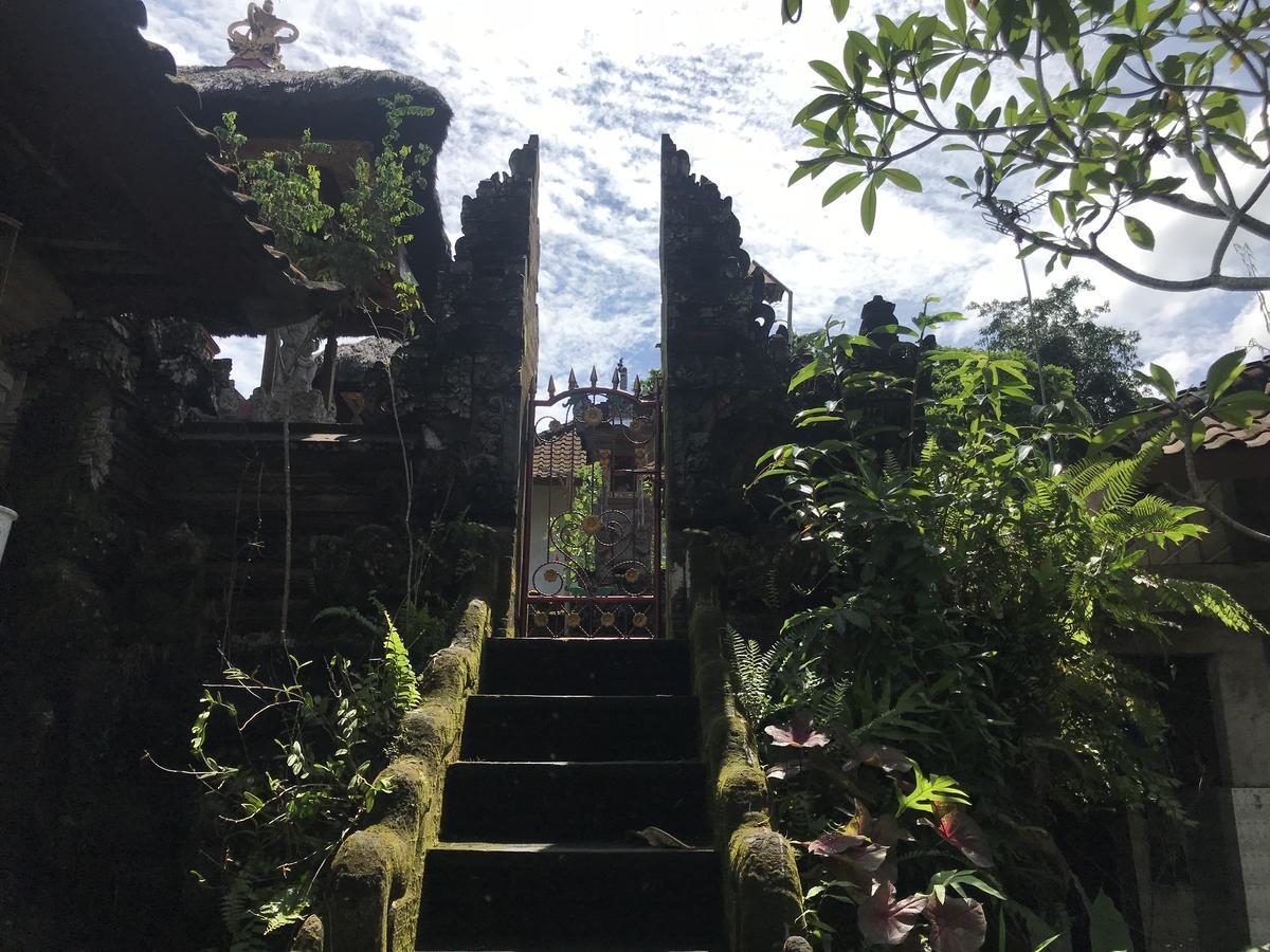Ww Backpackers Hostel