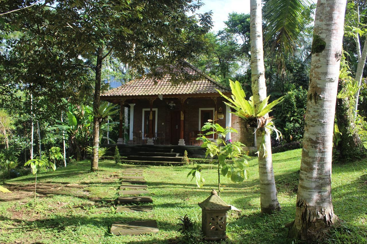Homestay Tegal Jero Jatiluwih