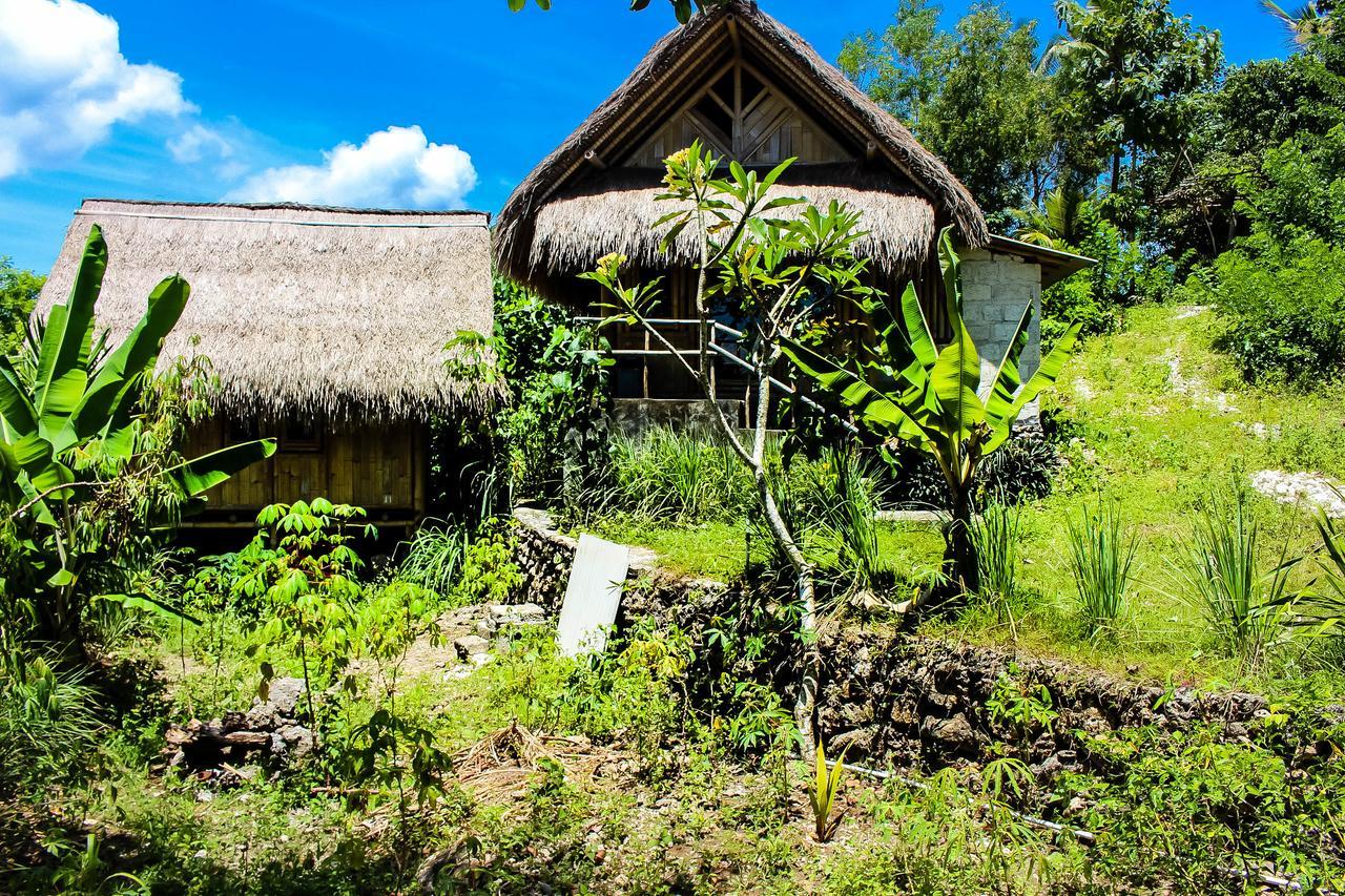 Echo Alam Nusa 2* Toyapakeh
