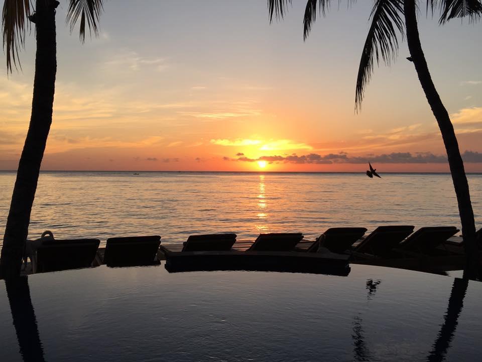 Paradise Palm And Dive Center Holiday park 4*