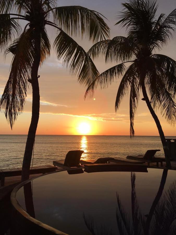 Paradise Palm And Dive Center 4*