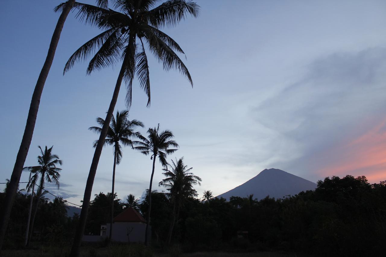 Bunga Laut Hotel Amed (Bali)