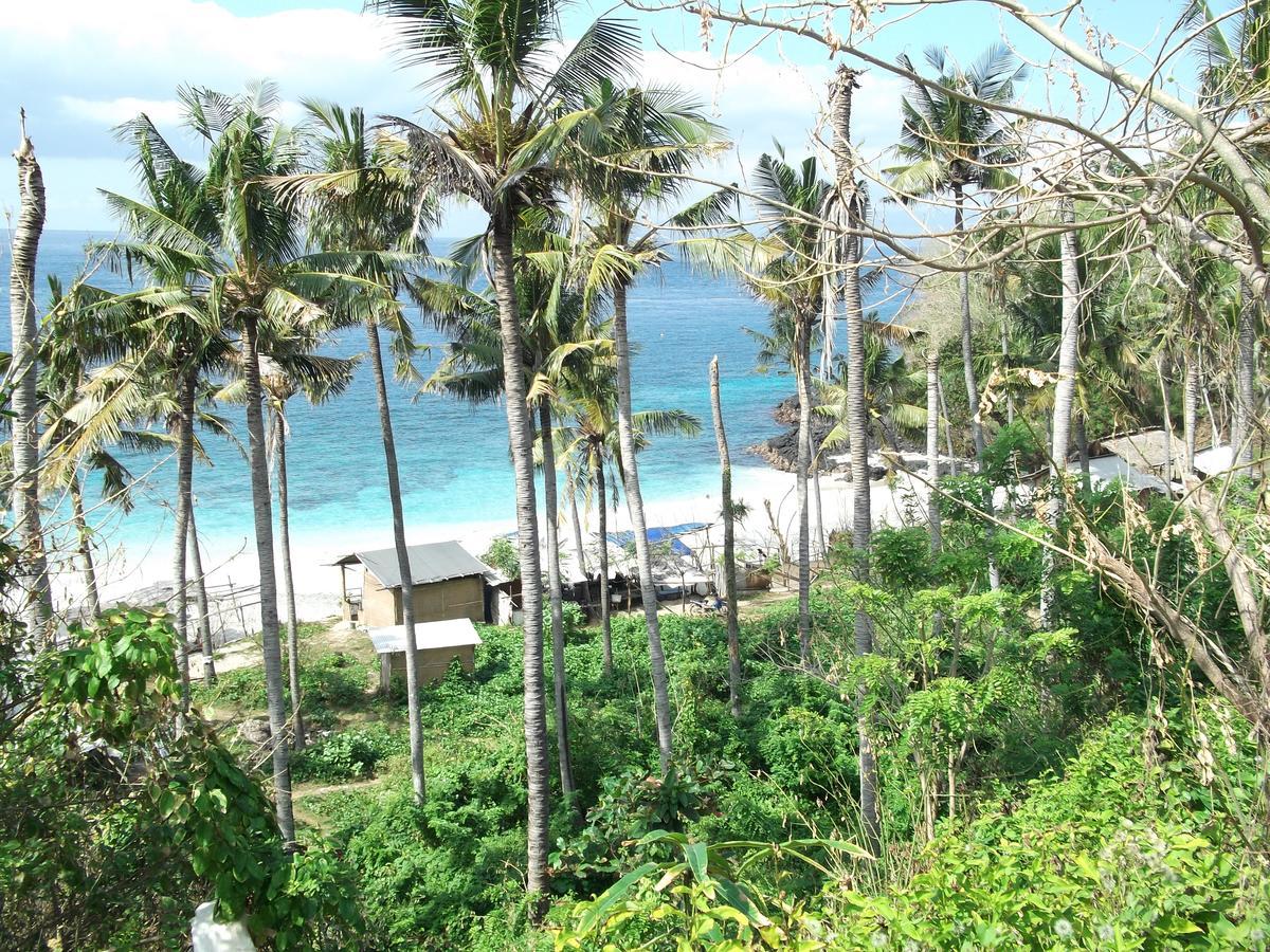 Hostel Bamboo Paradise
