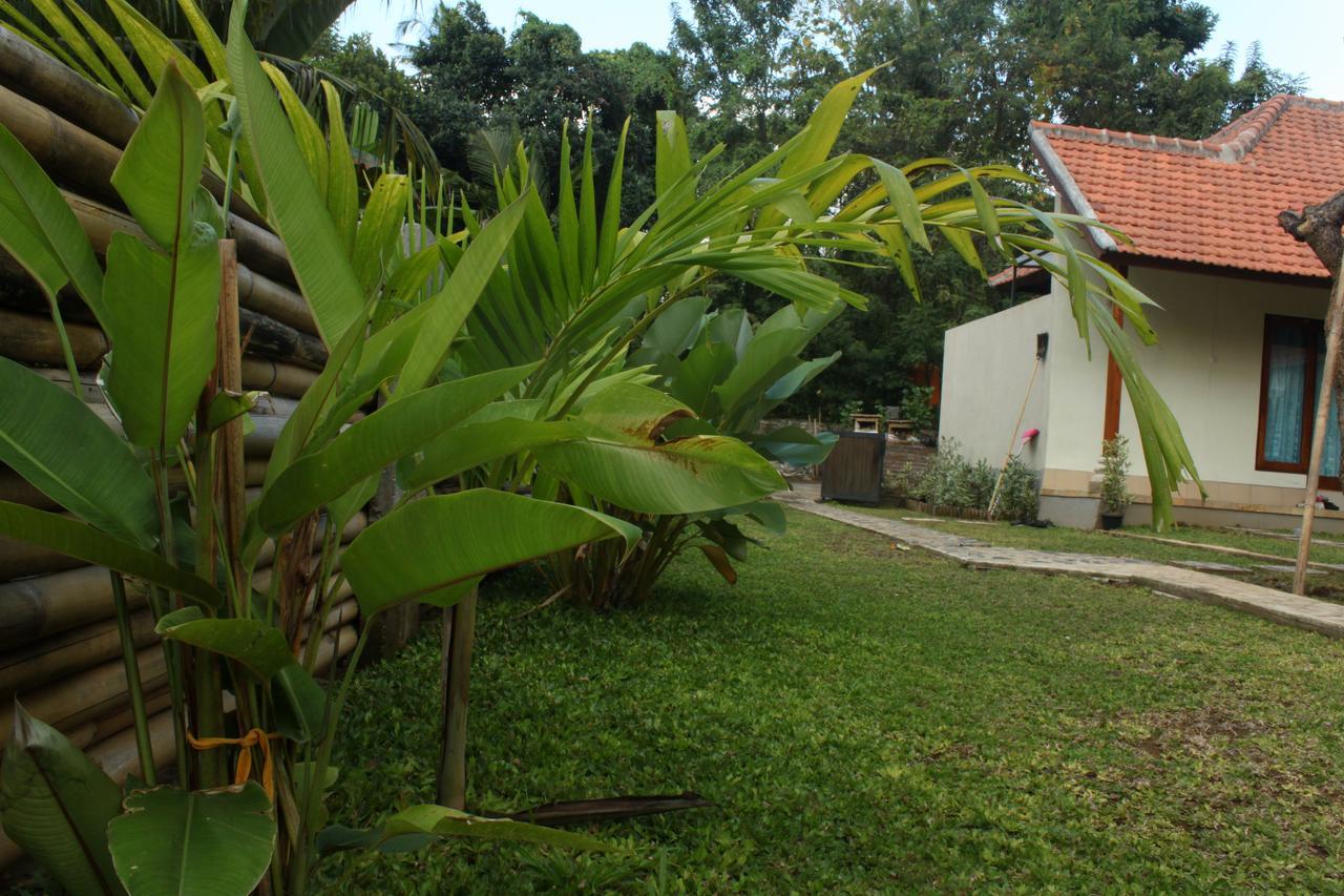 Memes House Backpacker 2* Buleleng (Bali)