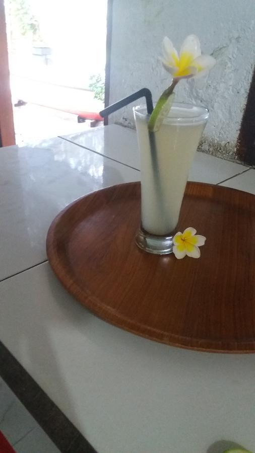 Coconut & Warung Guest house Amed (Bali)