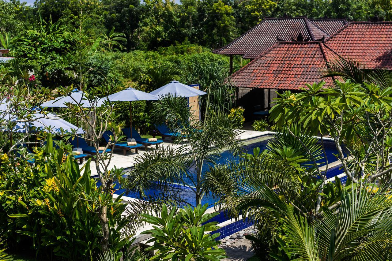 The Cozy 3*