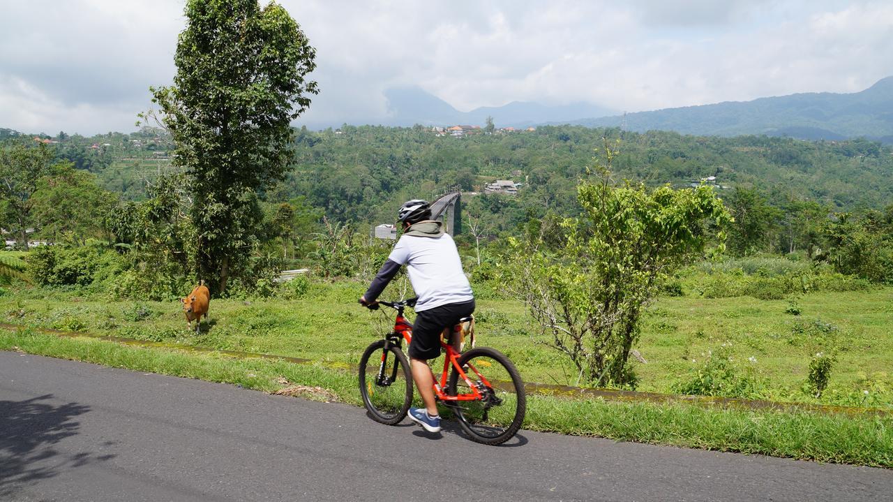 Bagus Agro Pelaga 3* Plaga