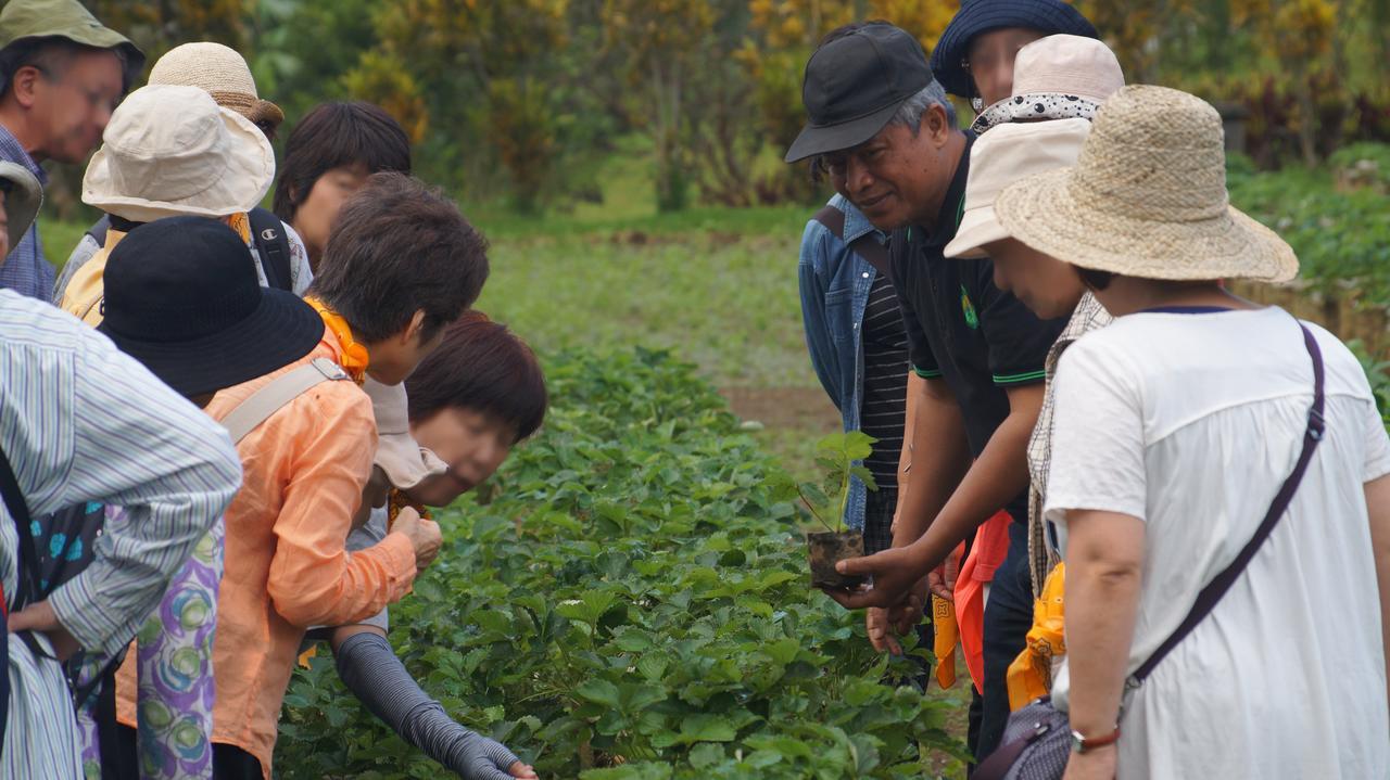 Resor Bagus Agro Pelaga Plaga