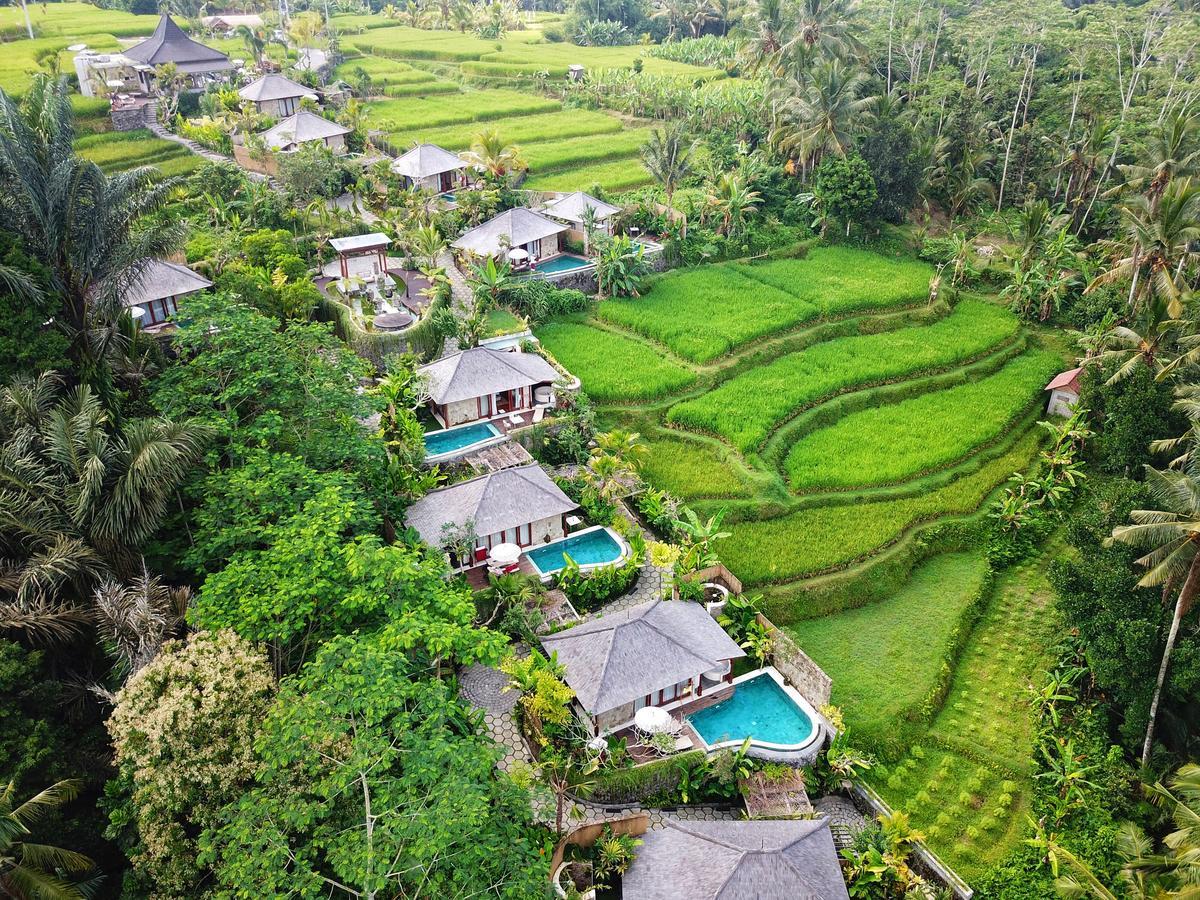 Nau Ubud *