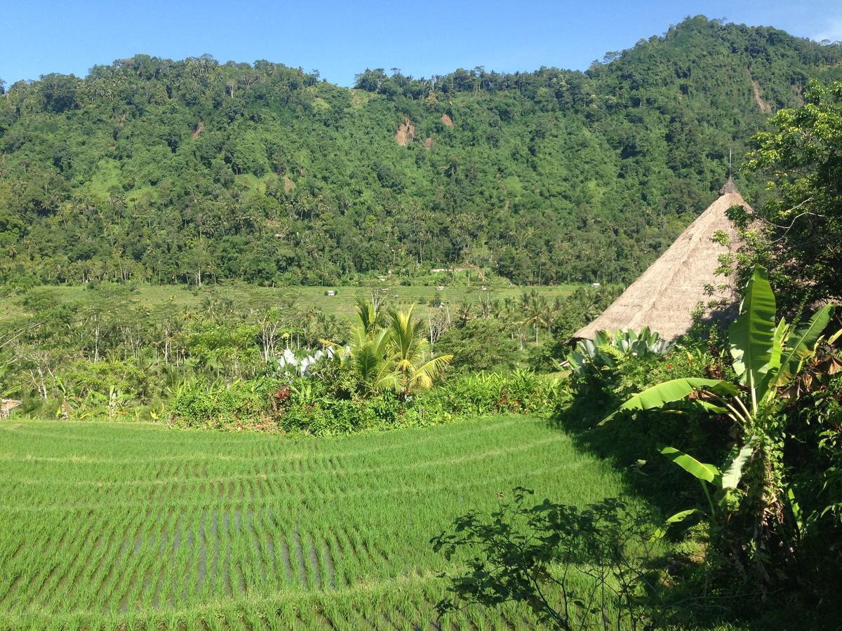 Nirarta Center For Living Awareness Guest house 2*