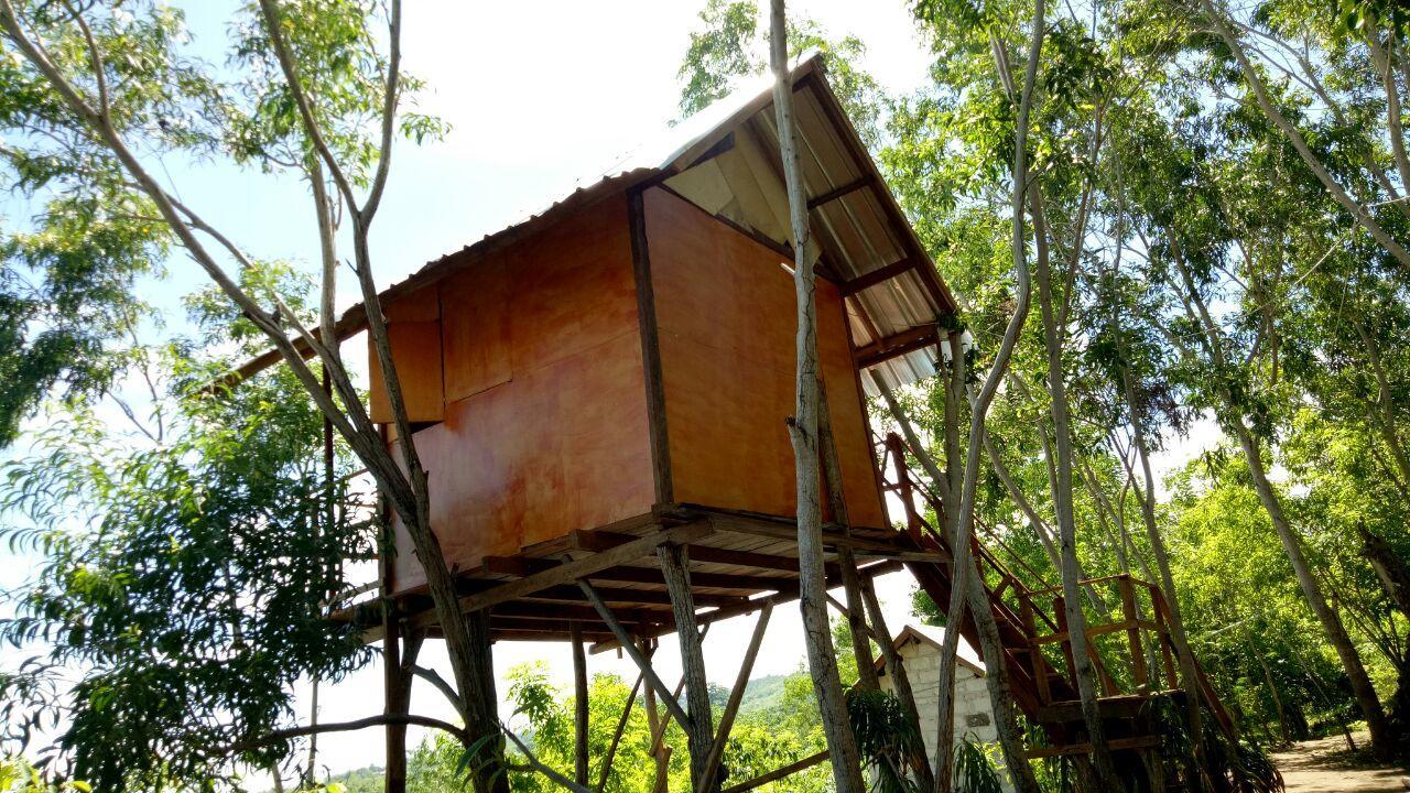 Holiday park Rumah Pohon