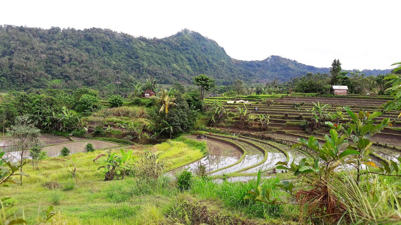 Kubu Taru 2* Sidemen (Bali)