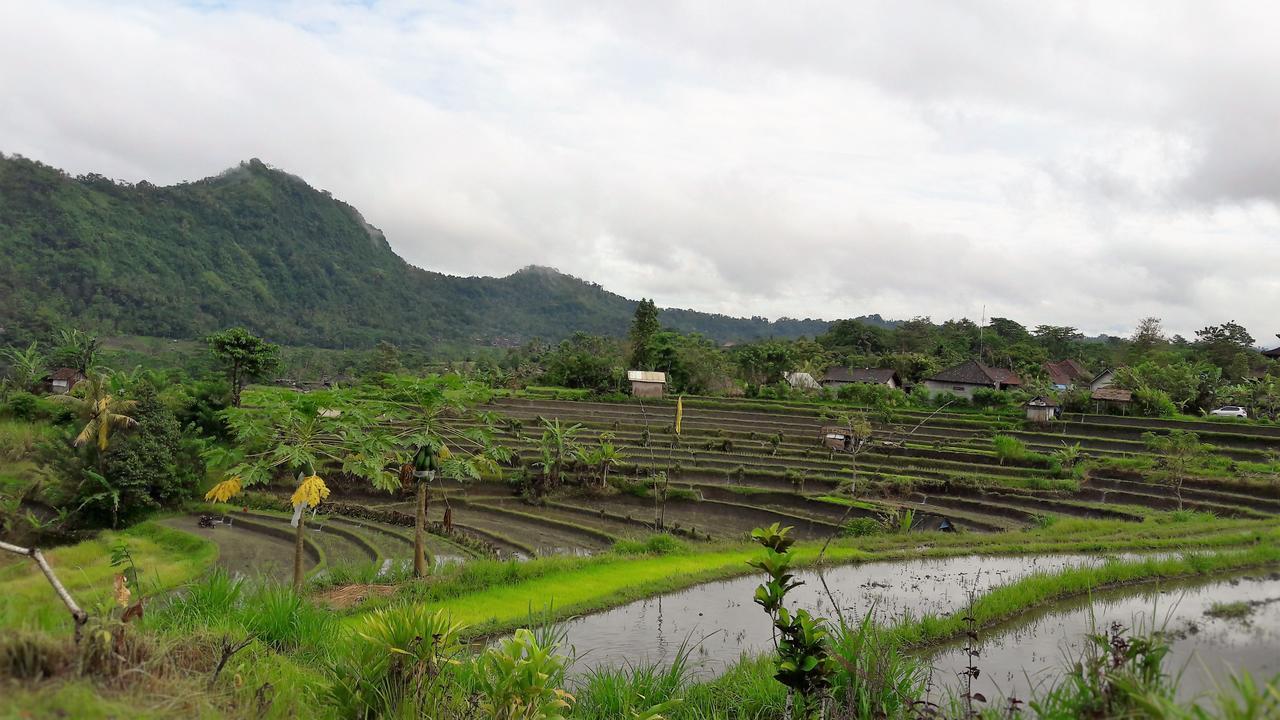 Kubu Taru Guest house Sidemen (Bali)