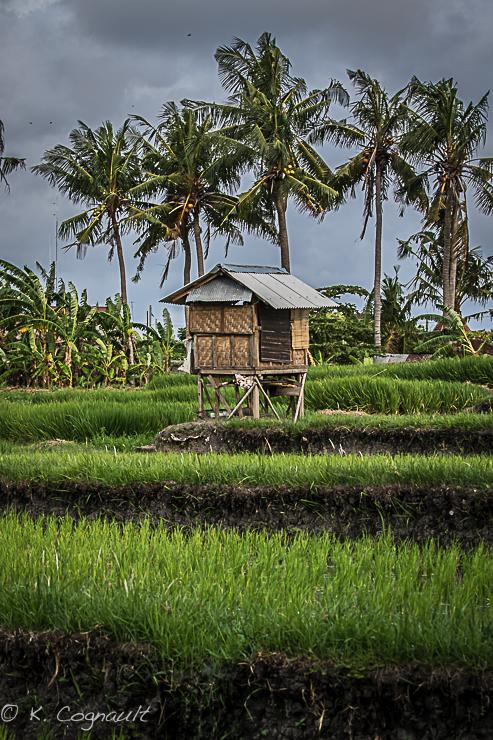 Guest house Impian Canggu (Bali)