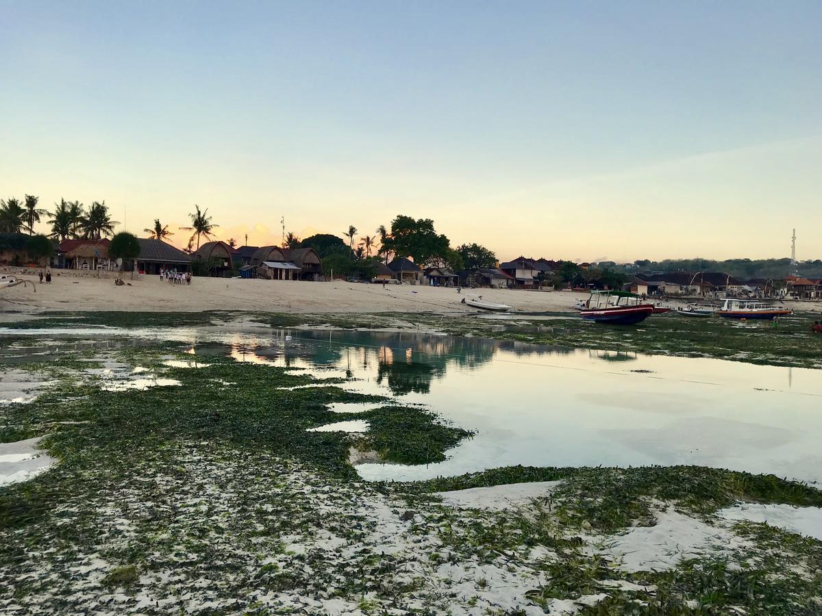 Tropical Holiday park Nusa Lembongan (Bali)