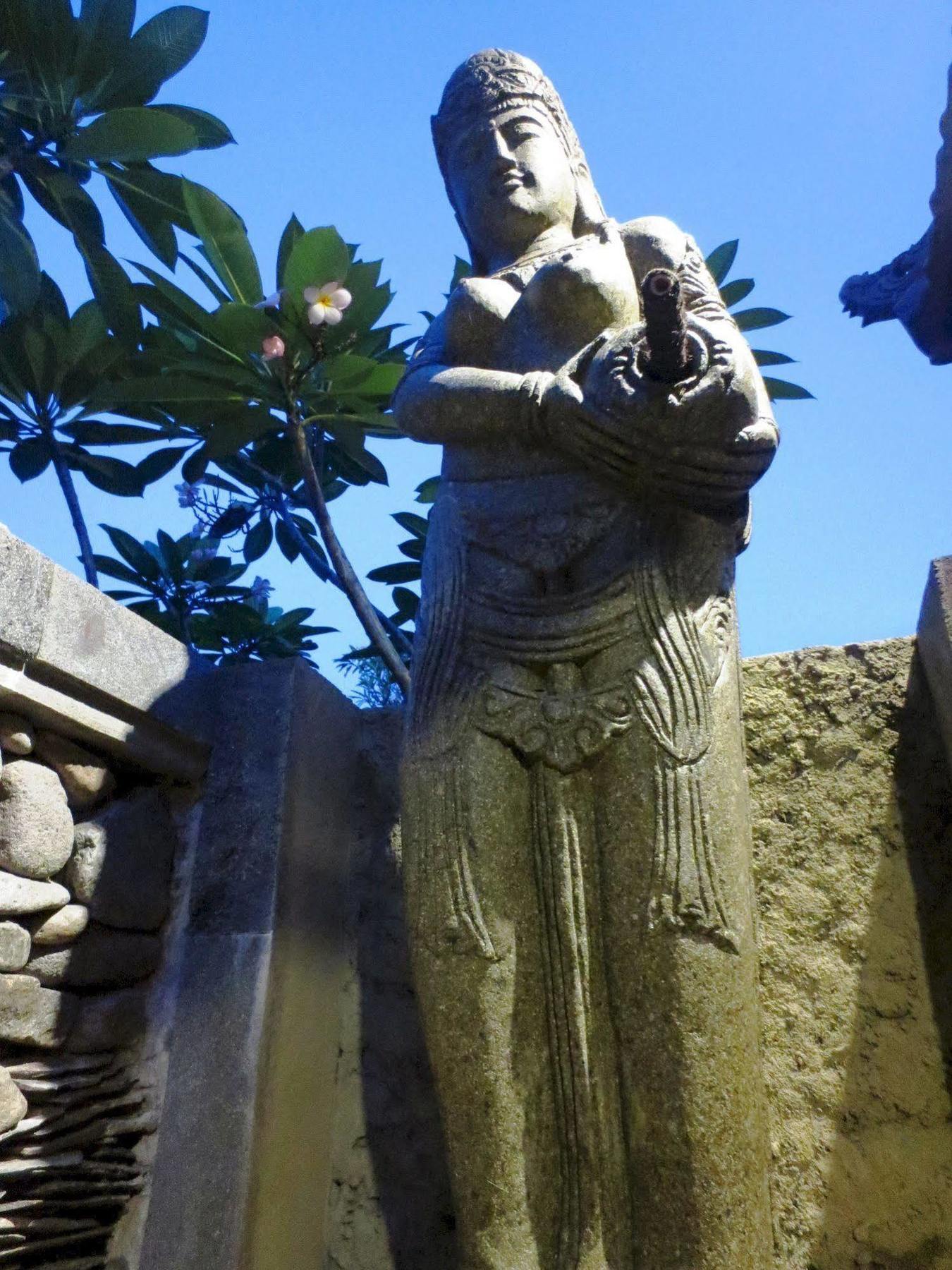Taruna Boutique & Guest house Pemuteran (Bali)