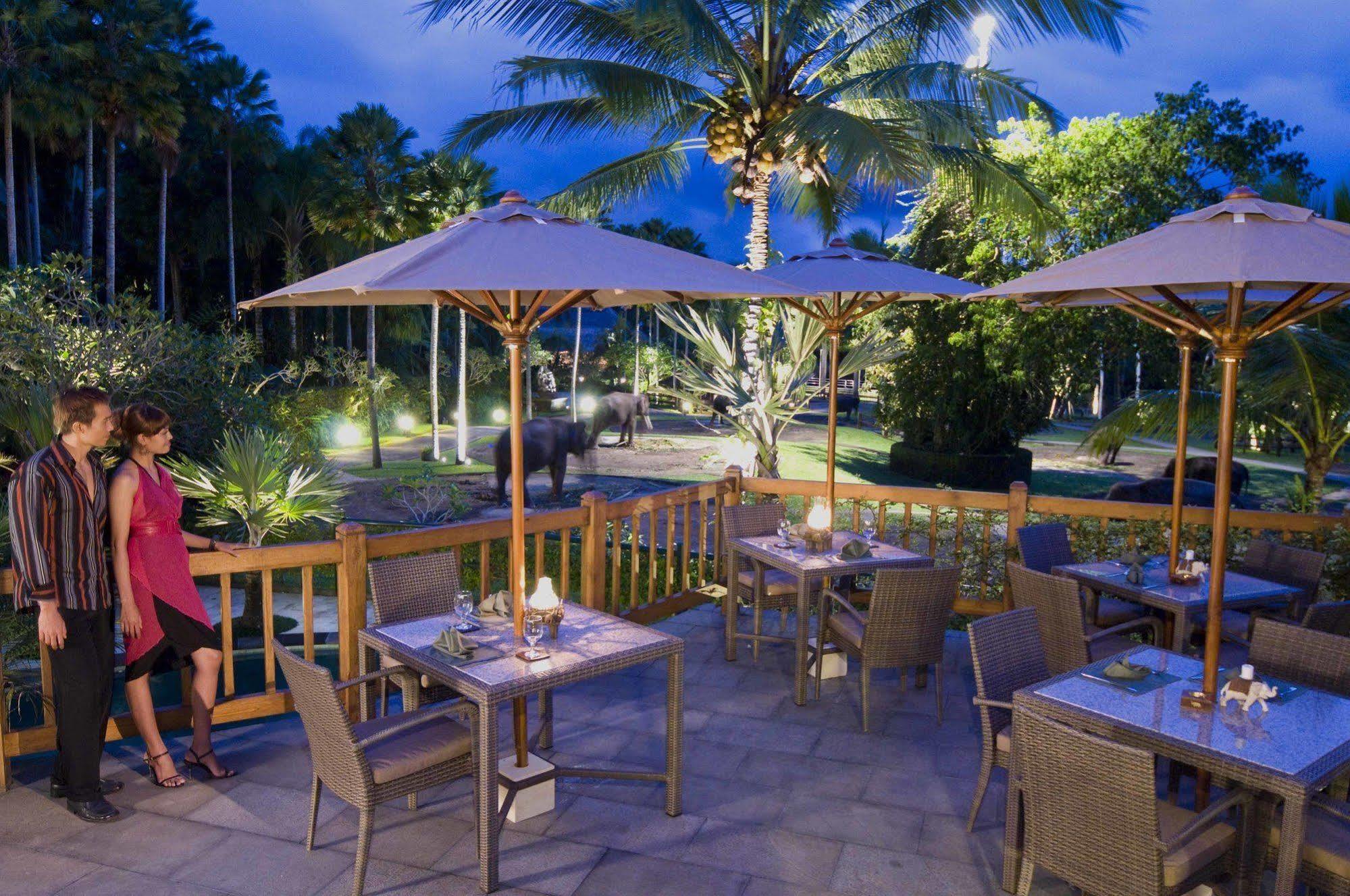 Mason Elephant Holiday park Ubud (Bali)
