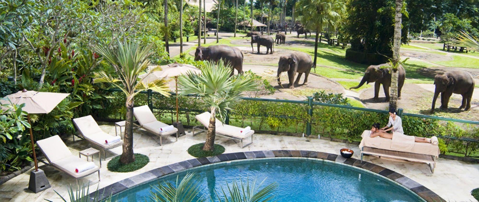 Mason Elephant Ubud (Bali)