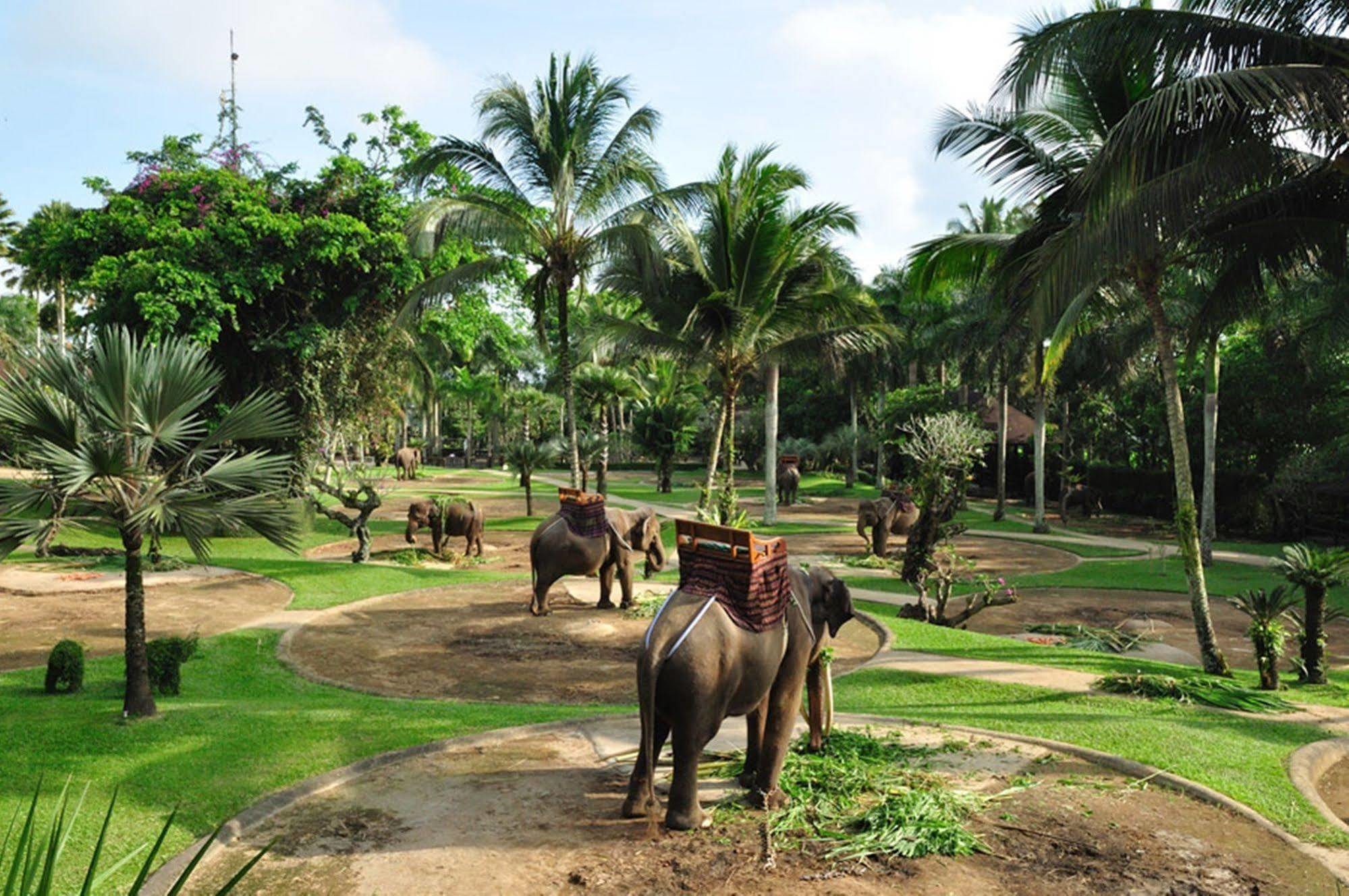 Mason Elephant Holiday park Ubud (Bali)