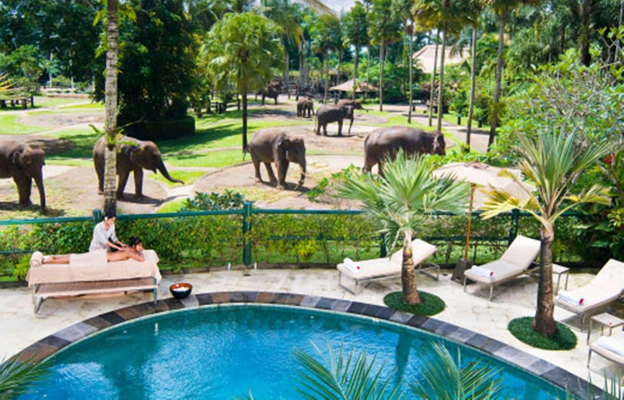 Holiday park Mason Elephant