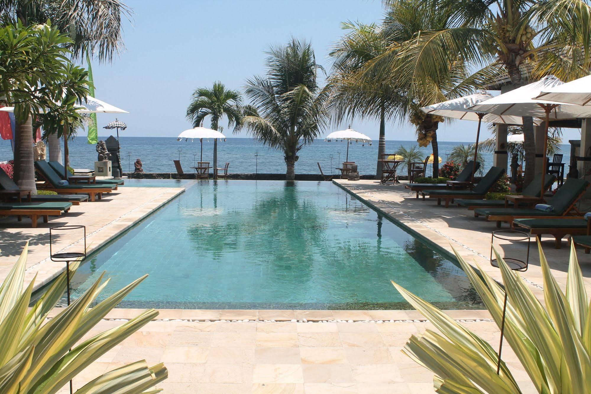 Kelapa Lovina (Bali)