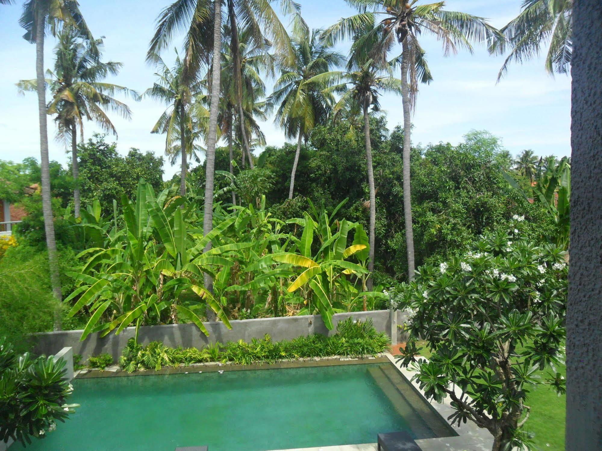 Ju'blu 3* Lovina (Bali)