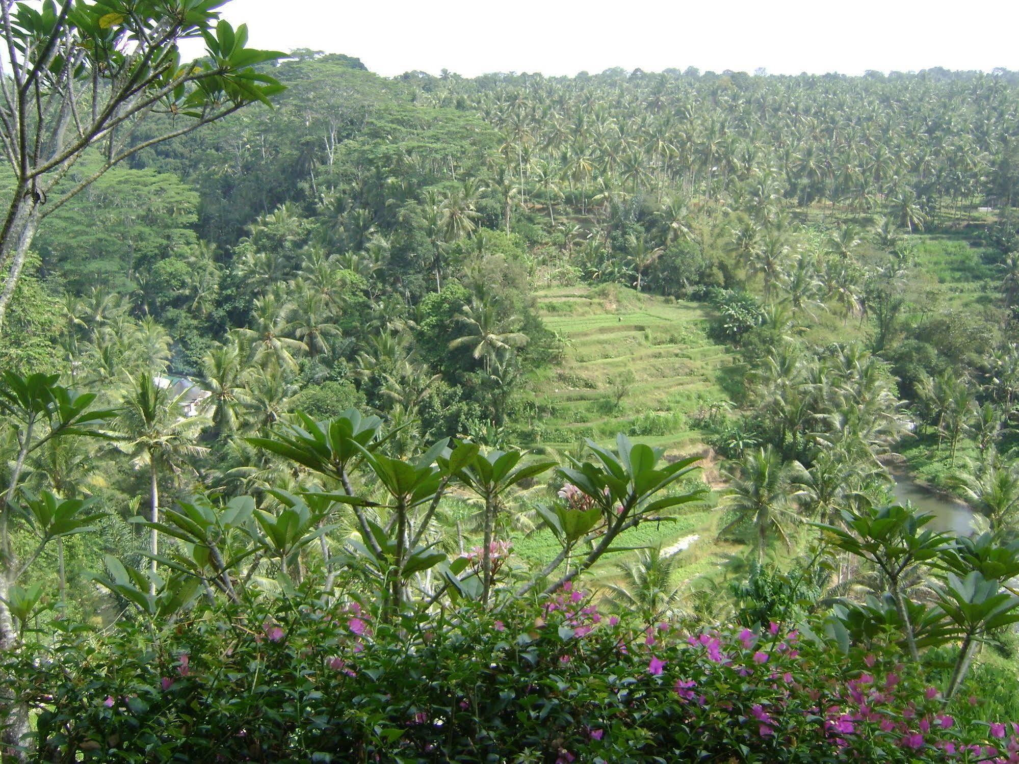 Taman Bebek Bali 4*