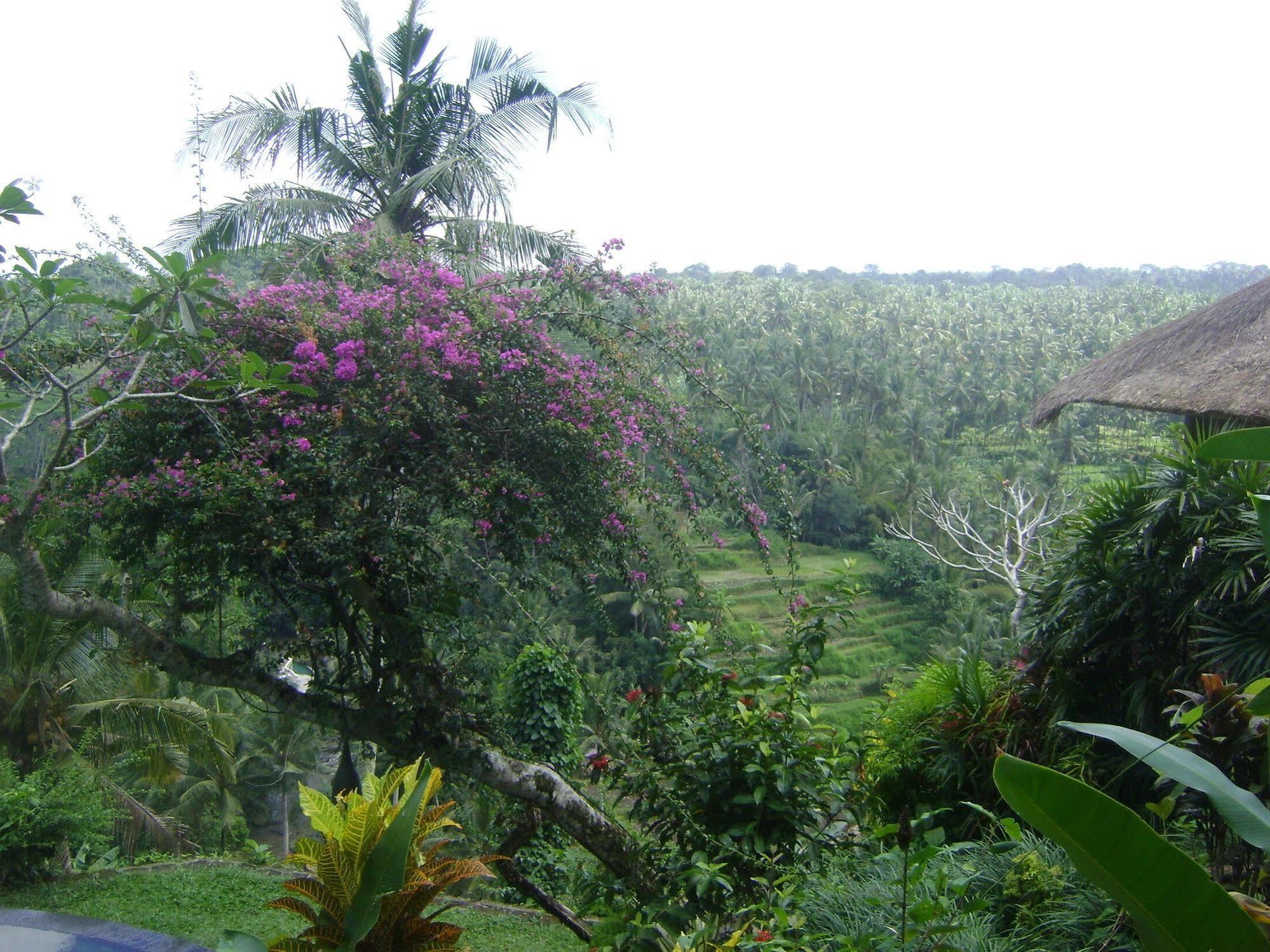 Taman Bebek Bali Ubud (Bali)