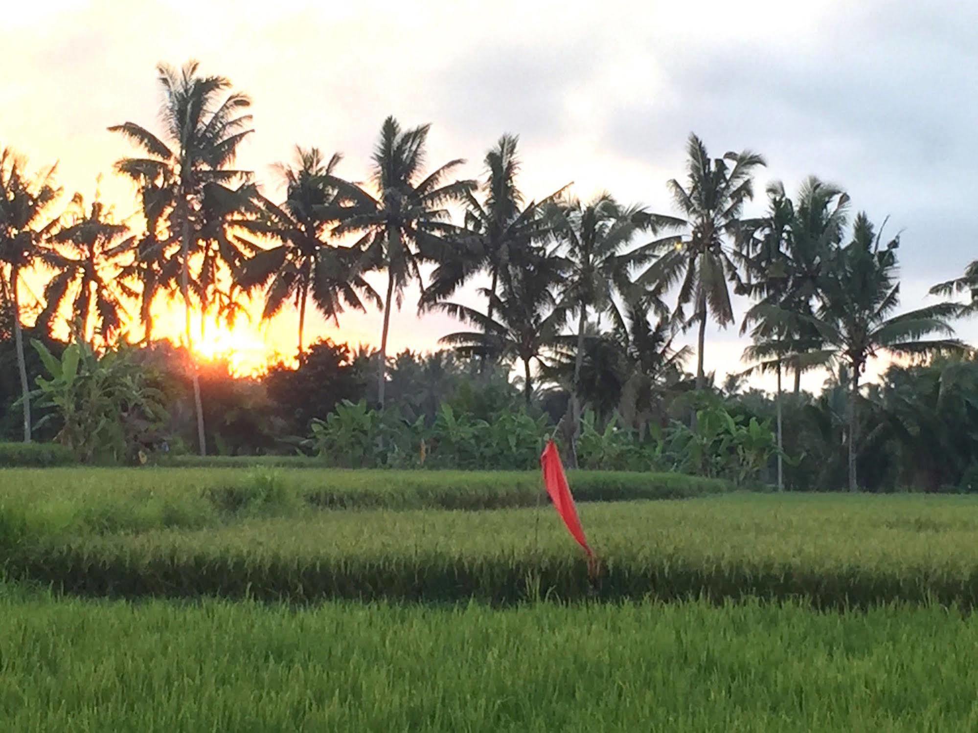 Hotel Suly Garden Villa Ubud 3*