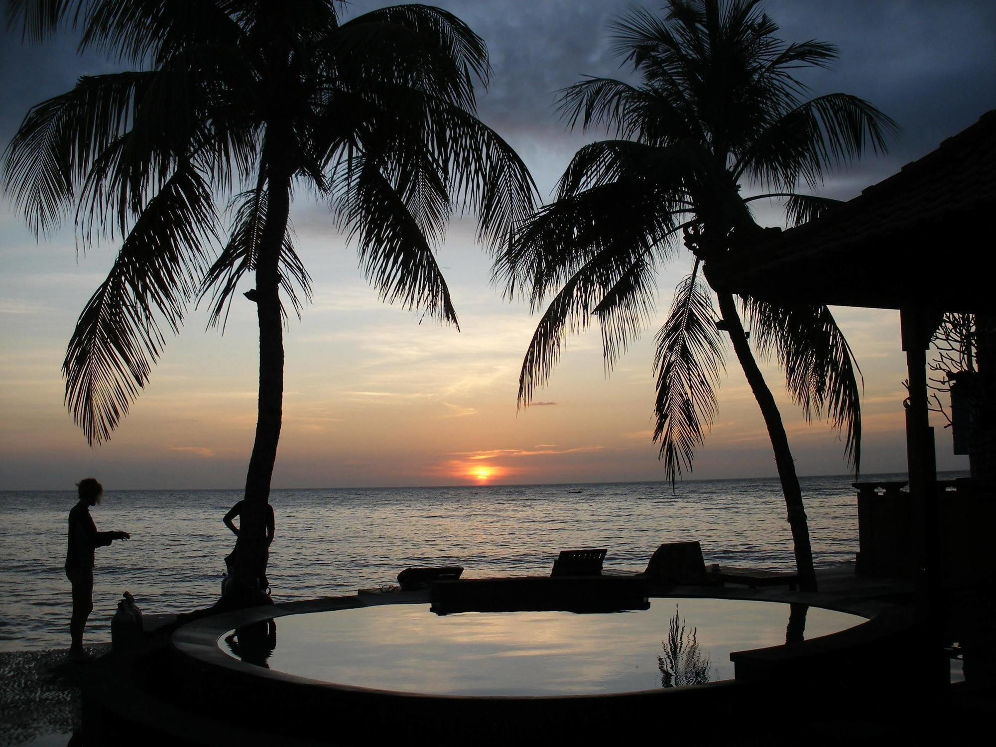 Paradise Palm And Dive Center Holiday park 4*