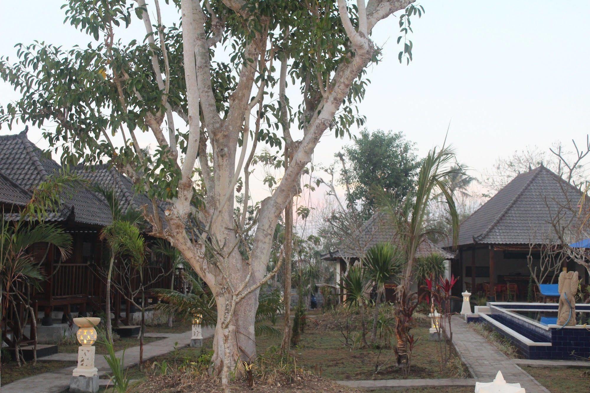 Taman liburan The Cozy 3*