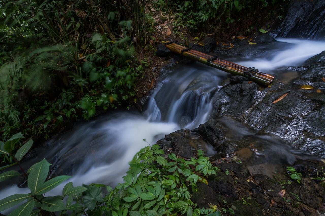 Bali Eco Adventure And Retreat Center 3* Tegallalang (Bali)