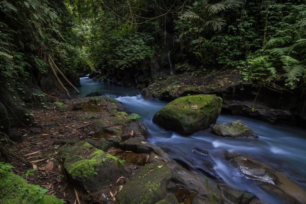 Bali Eco Adventure And Retreat Center Holiday park 3*