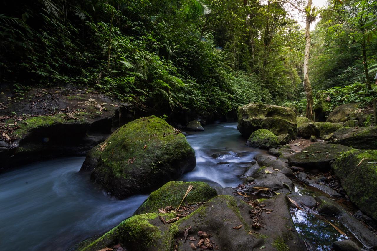 Holiday park Bali Eco Adventure And Retreat Center 3*