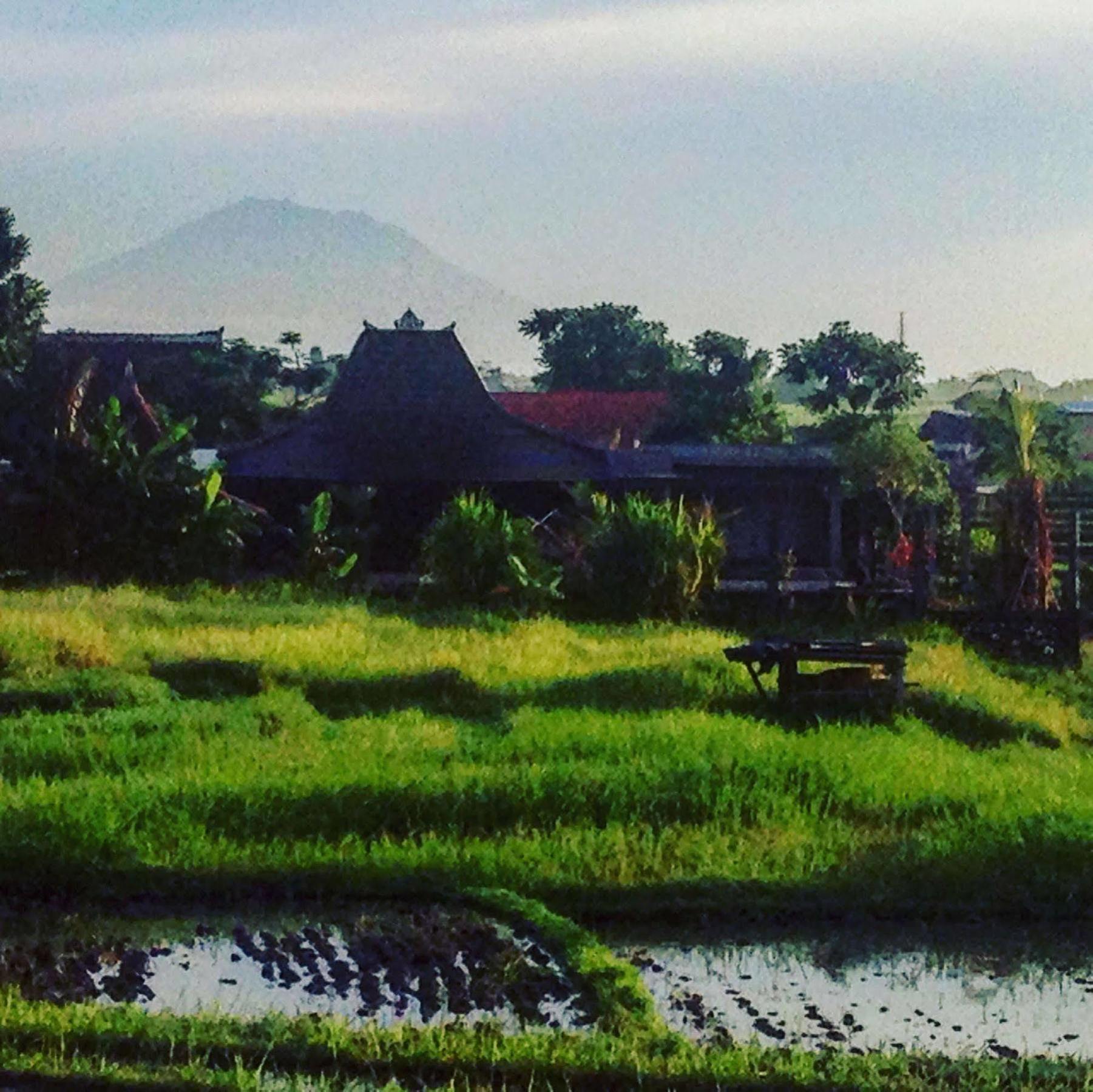 Oasis Bali Guest house 3*