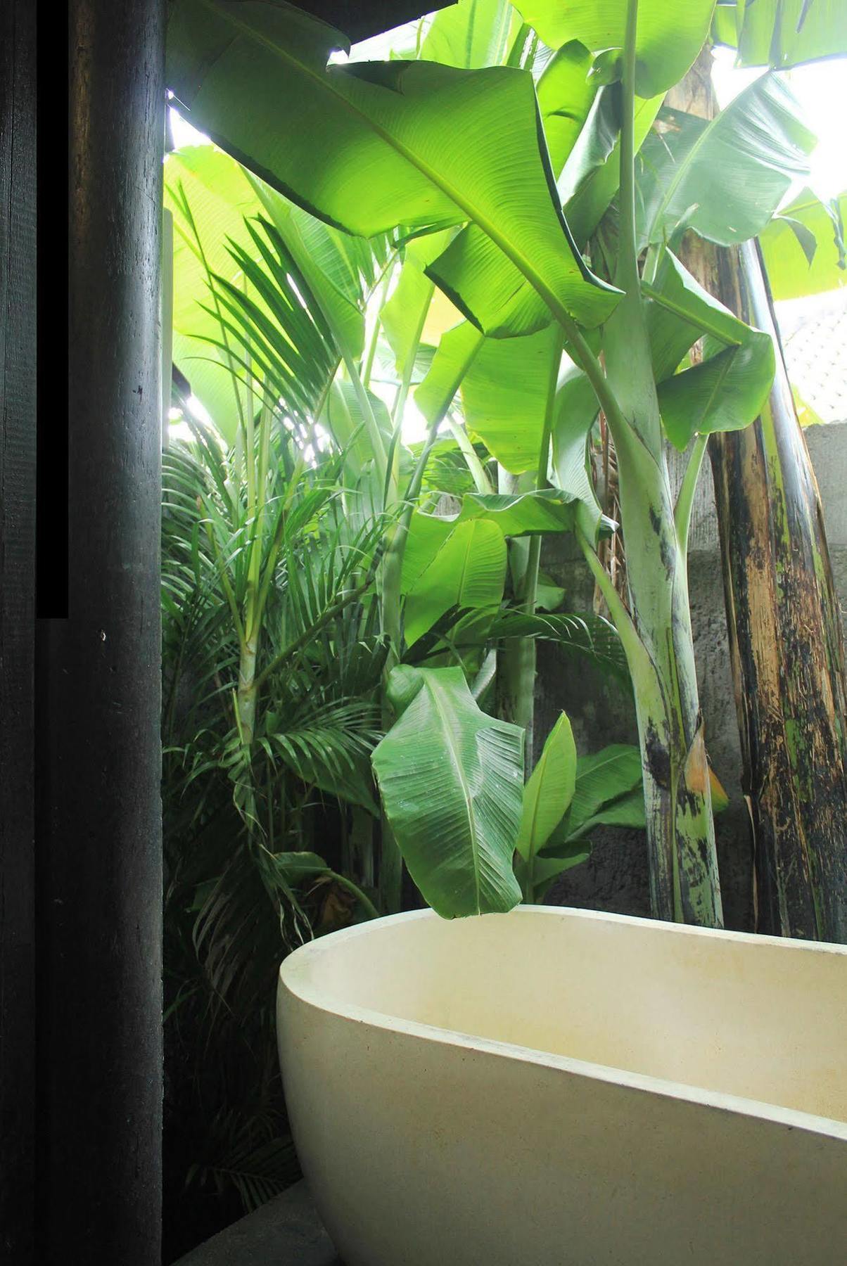 Oasis Bali Guest house 3*