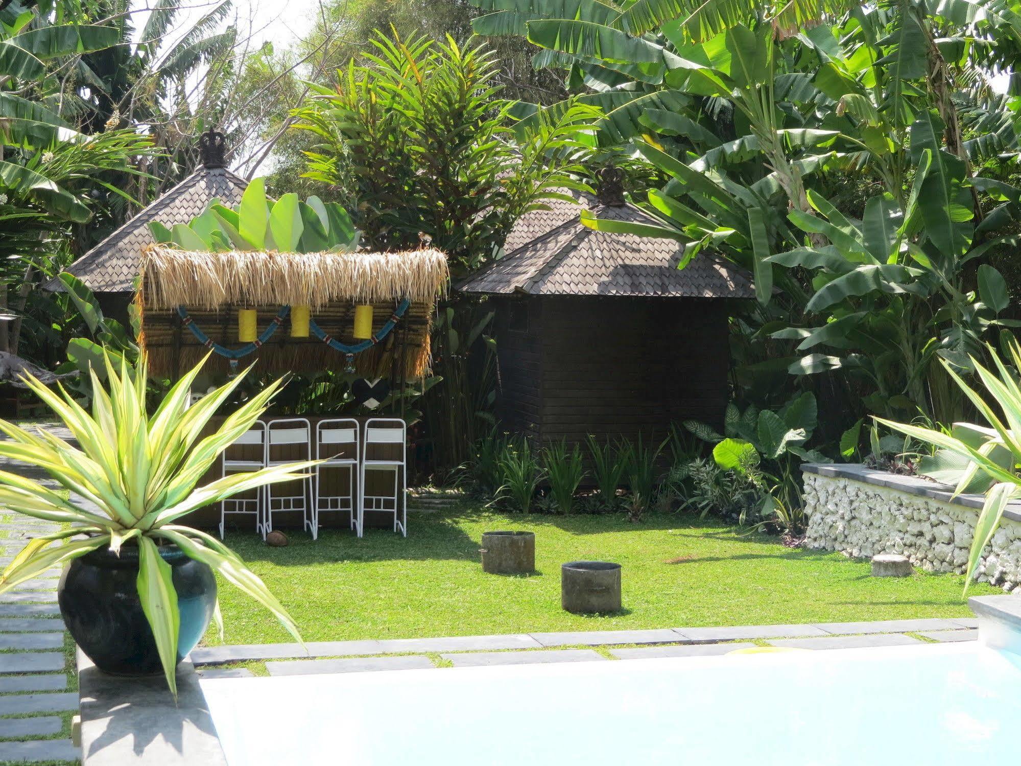 Oasis Bali 3* Canggu (Bali)