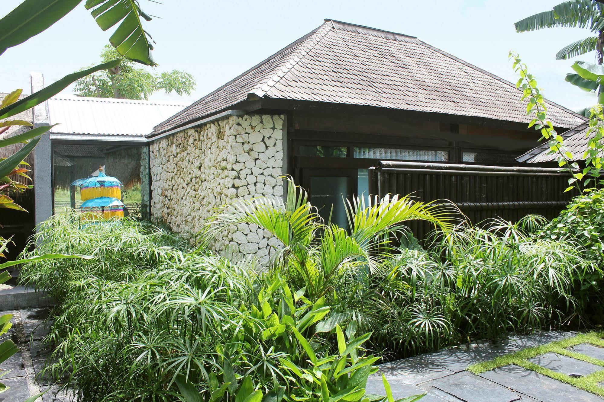 Guest house Oasis Bali