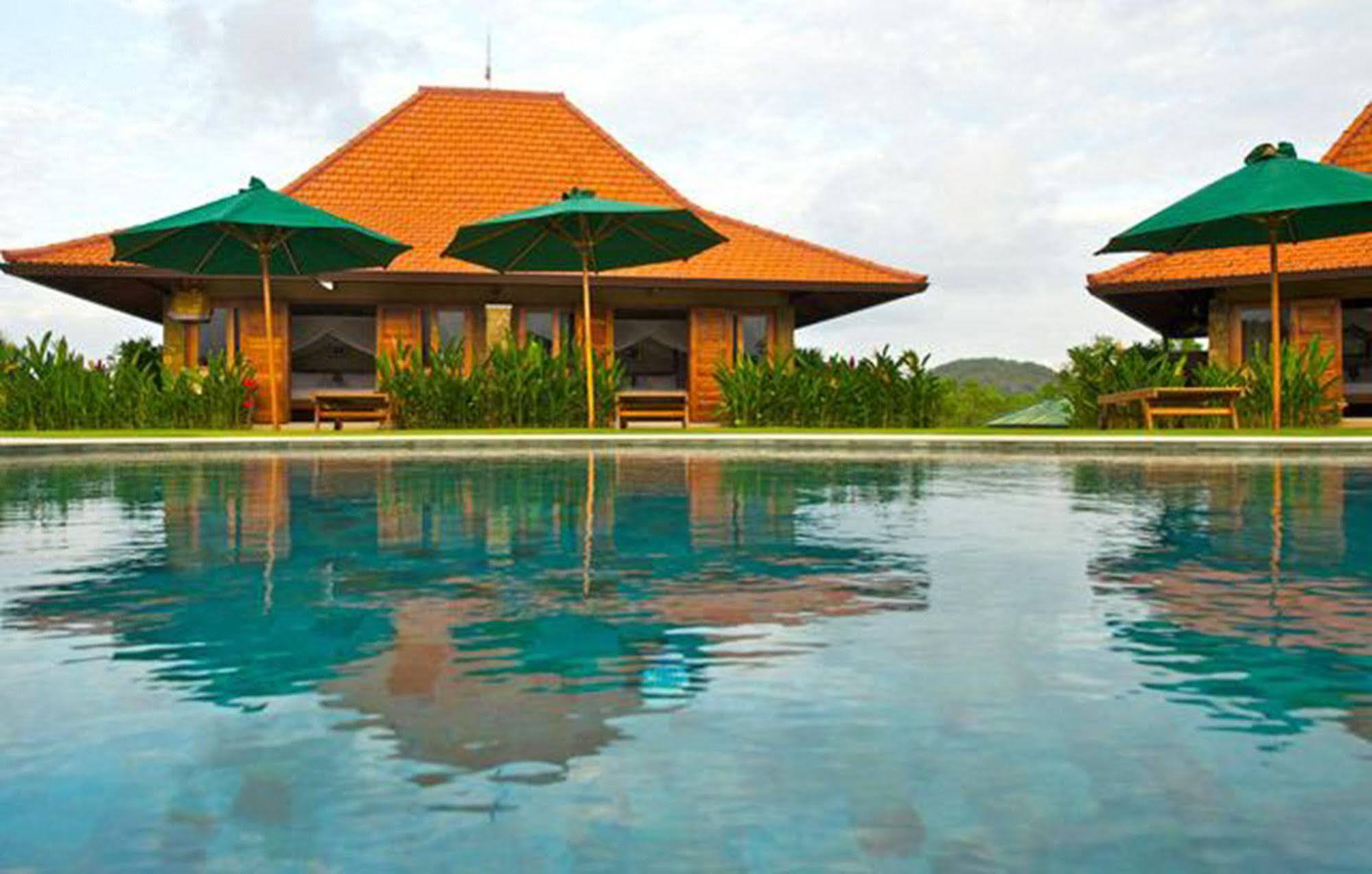 Holiday park Three Monkeys 3*