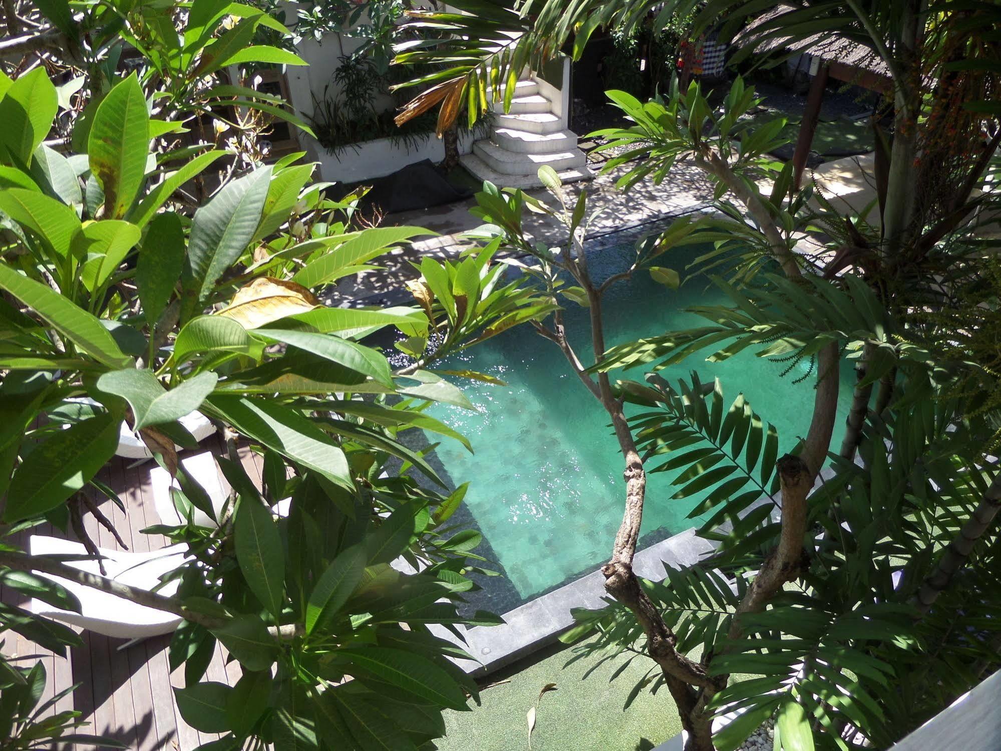 The Island Bali