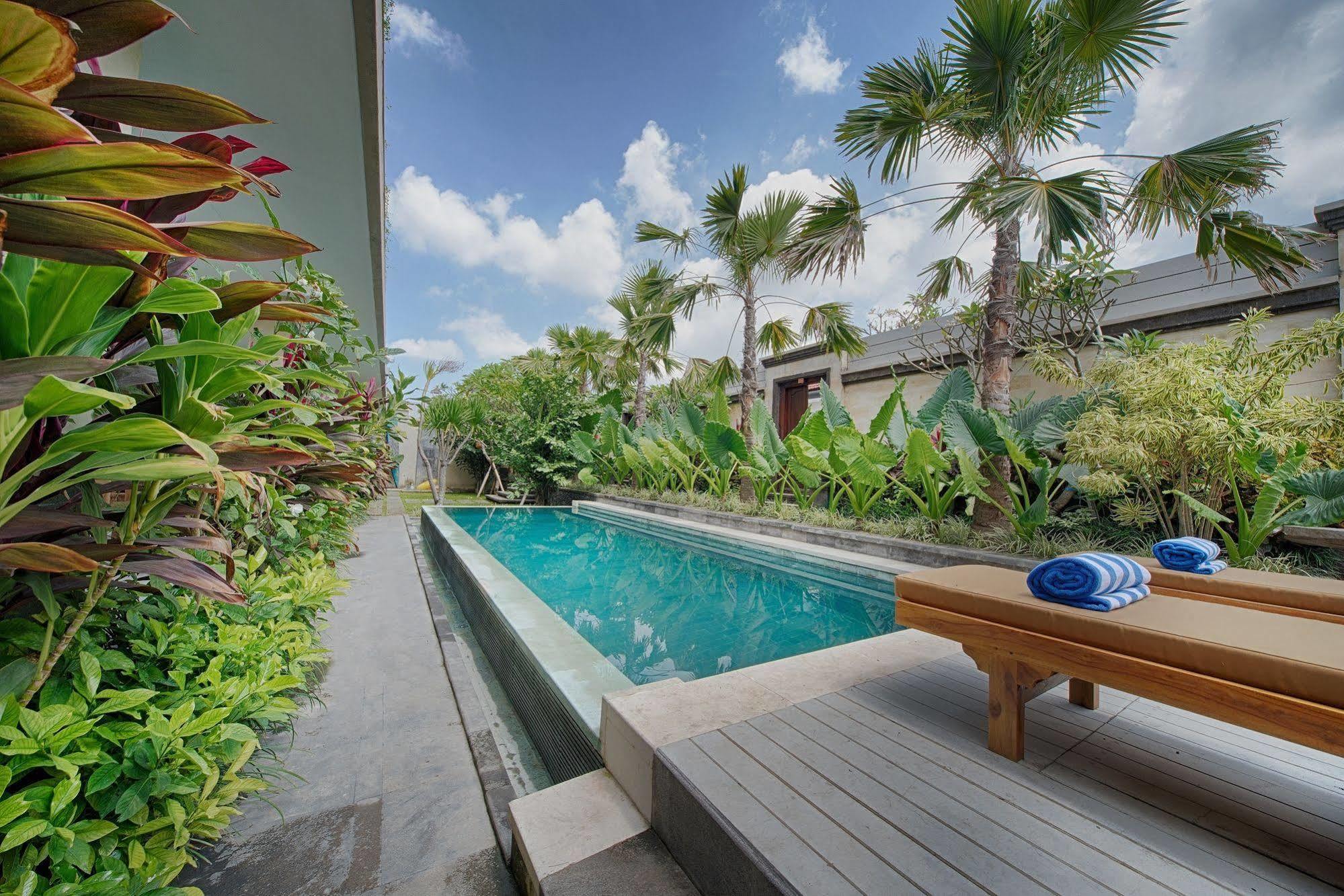 Puri & Canggu (Bali)