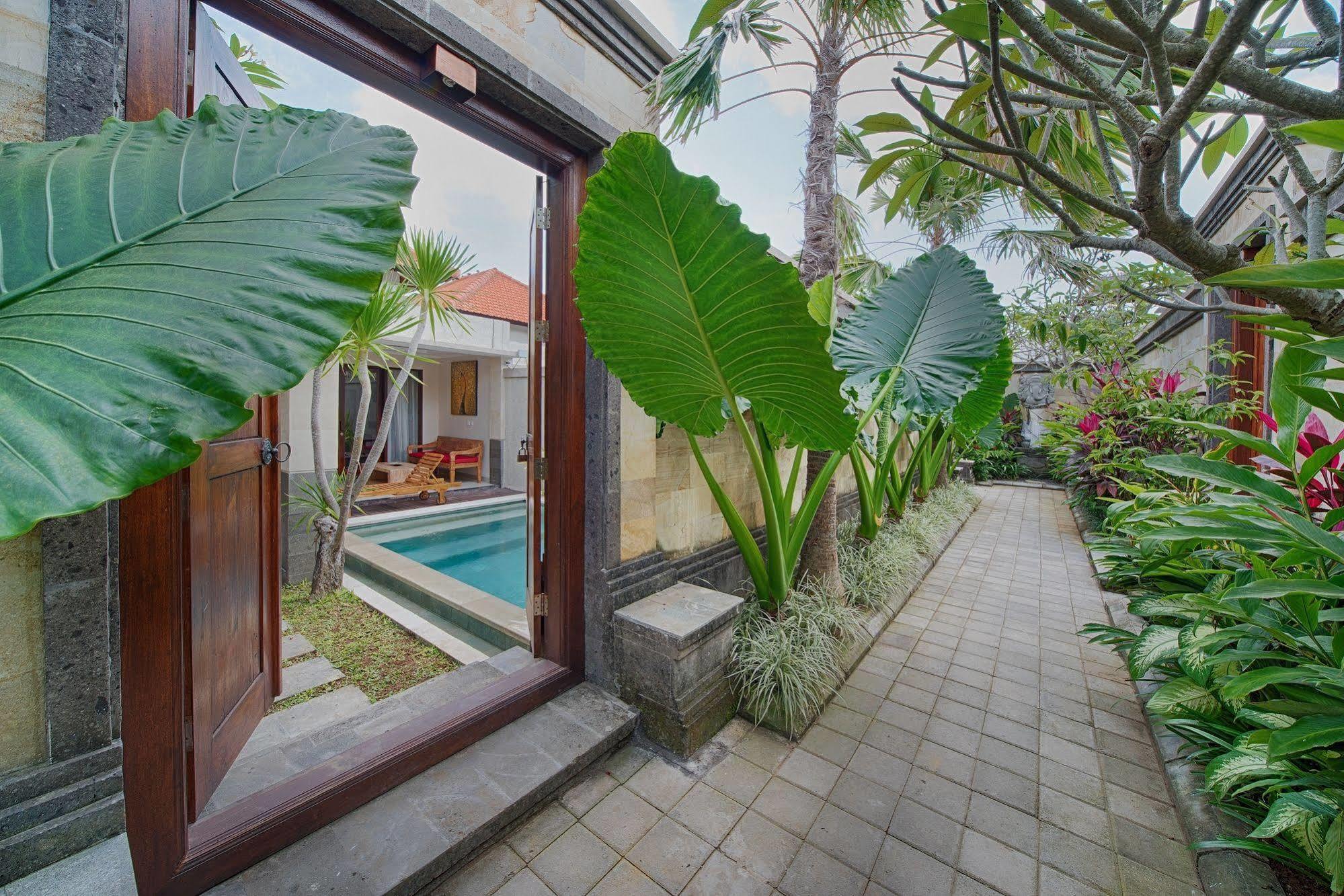 Apartment Puri & Canggu (Bali)