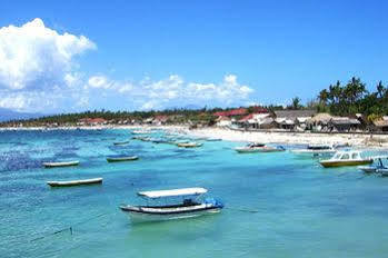 Lembongan Reef Nusa Lembongan (Bali)