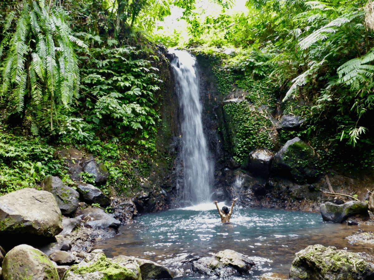 Resort Clove Tree Hill Blimbing (Bali)