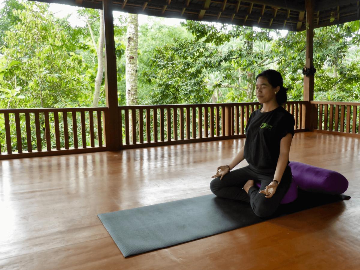 Resort Clove Tree Hill Blimbing (Bali)