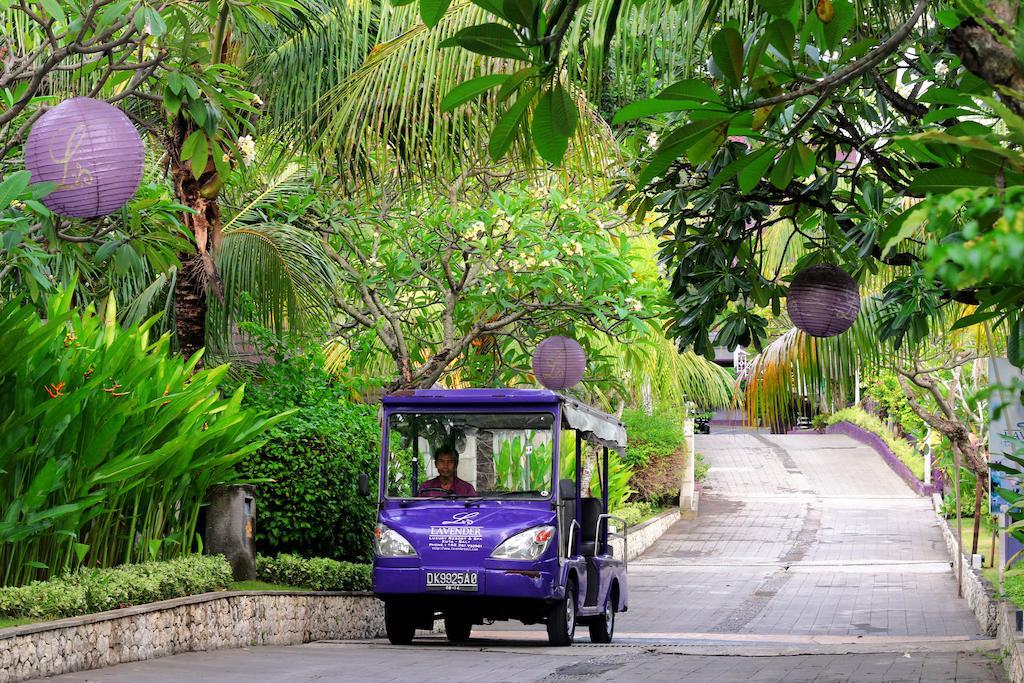 Villa Lavender &